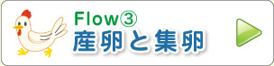 Flow③ 産卵と集卵