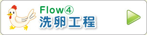 Flow④ 洗卵工程