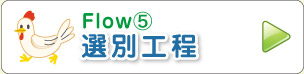 Flow⑤ 選別工程