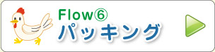 Flow⑥ パッキング