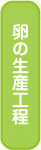 卵の生産工程
