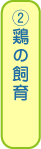 ②鶏の飼育